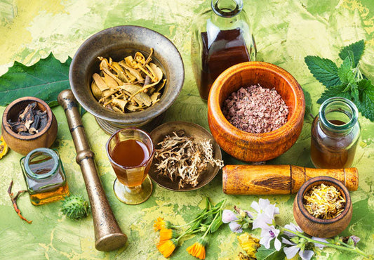 Harnessing the Power of Plant-Based Healing